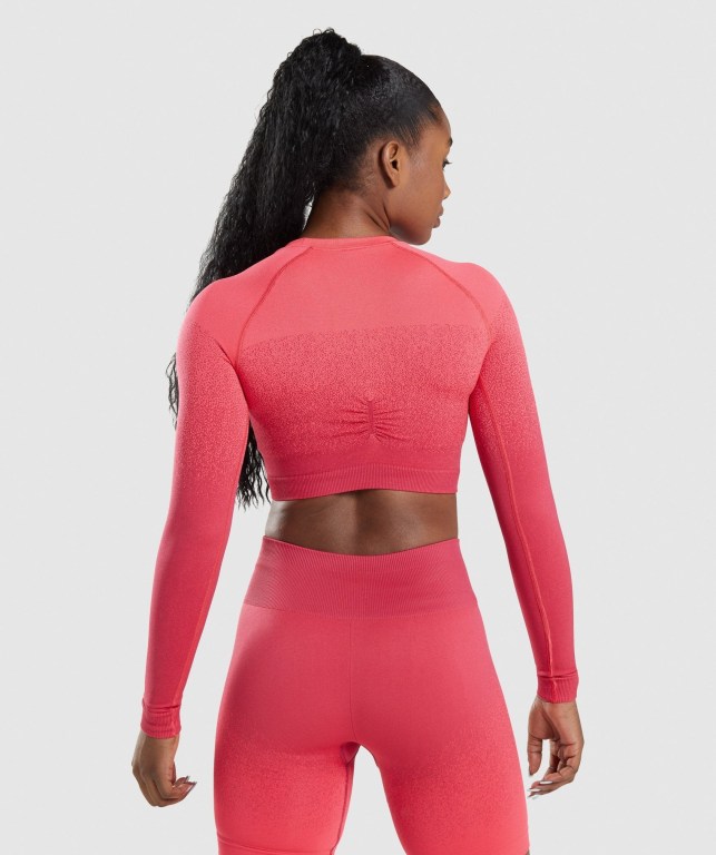 Gymshark Adapt Ombre Seamless Crop Top Tişörtü Kadın Pembe Kırmızı | 028-GDLQTH