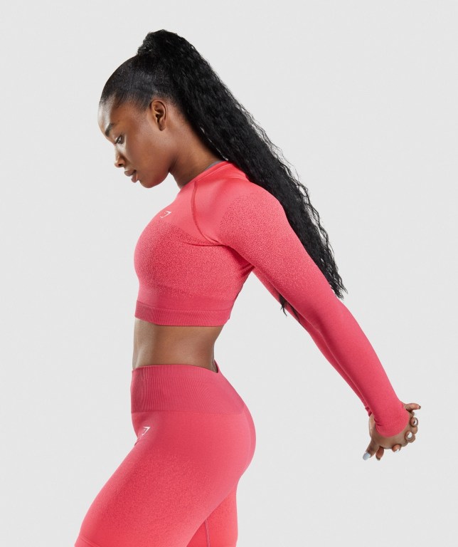 Gymshark Adapt Ombre Seamless Crop Top Tişörtü Kadın Pembe Kırmızı | 028-GDLQTH