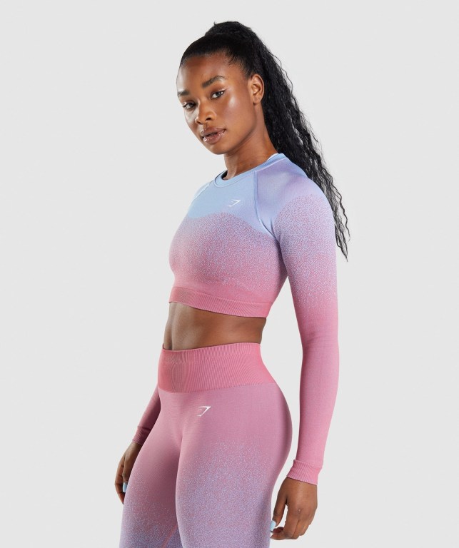 Gymshark Adapt Ombre Seamless Crop Top Tişörtü Kadın Pembe Pembe Açık Mavi | 506-SZEVXM