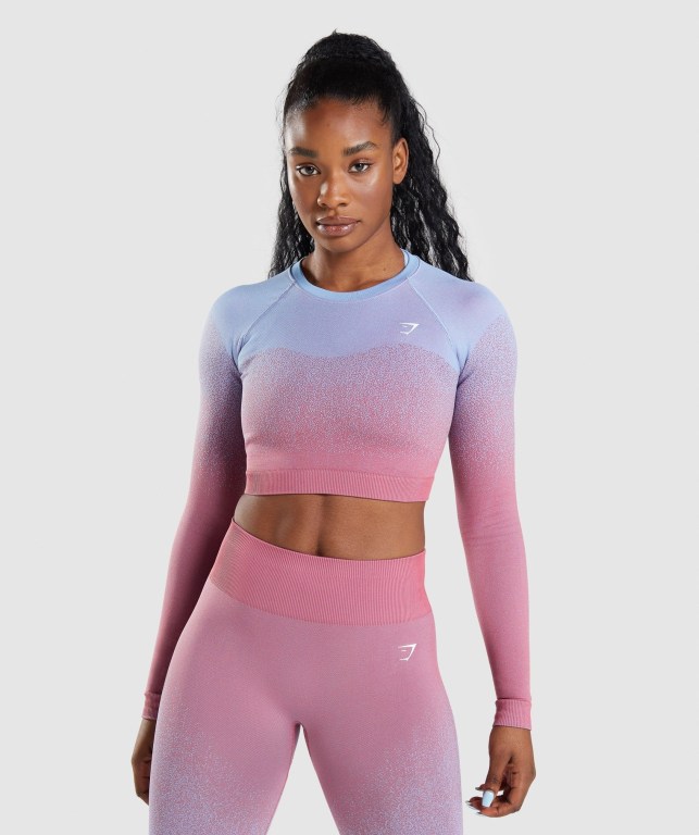 Gymshark Adapt Ombre Seamless Crop Top Tişörtü Kadın Pembe Pembe Açık Mavi | 506-SZEVXM