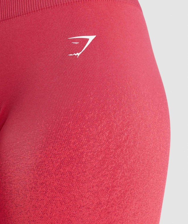 Gymshark Adapt Ombre Seamless Cycling Şort Kadın Pembe Kırmızı | 908-EJWPRZ