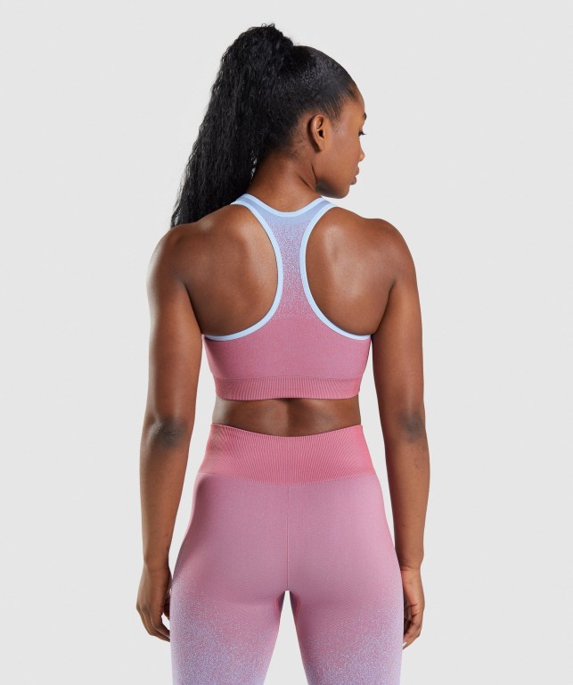 Gymshark Adapt Ombre Seamless Spor Sütyeni Kadın Pembe Pembe Açık Mavi | 071-DRBZCL