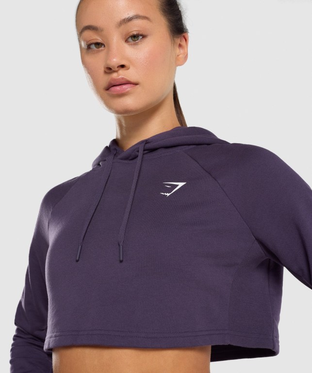 Gymshark Antrenman Cropped Kapüşonlu Sweatshirt Kadın Mor | 095-IPHZGM