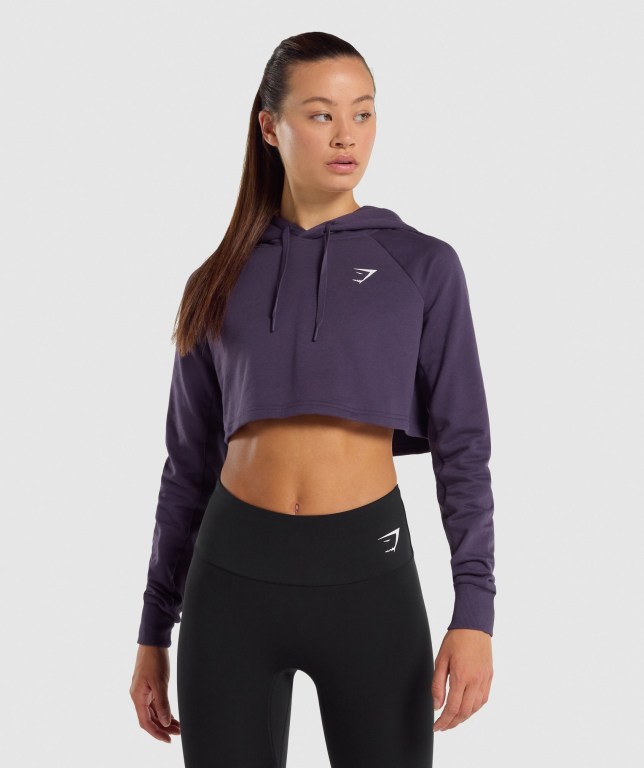 Gymshark Antrenman Cropped Kapüşonlu Sweatshirt Kadın Mor | 095-IPHZGM