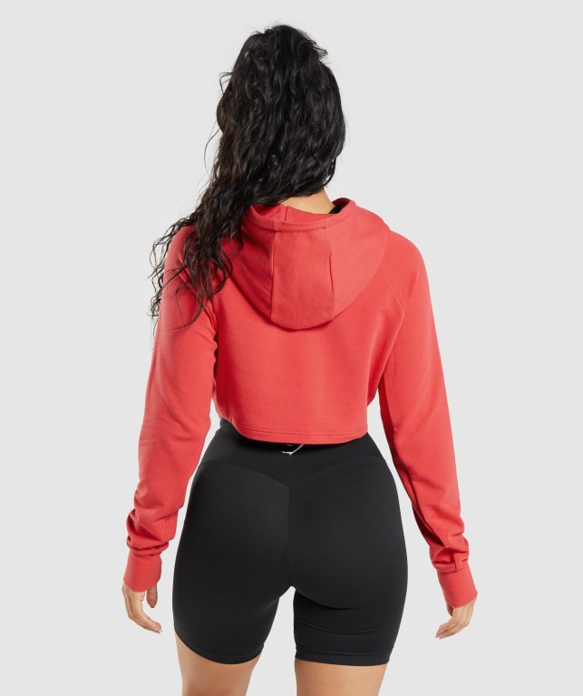 Gymshark Antrenman Cropped Kapüşonlu Sweatshirt Kadın Kırmızı | 740-SMOLHU