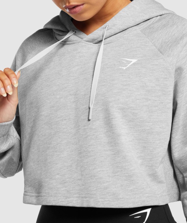 Gymshark Antrenman Cropped Kapüşonlu Sweatshirt Kadın Açık Gri | 839-QWSAGL