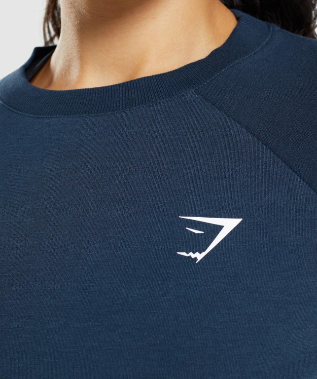 Gymshark Antrenman Cropped Kazak Kapüşonlu Sweatshirt Kadın Lacivert | 129-ARTOFB