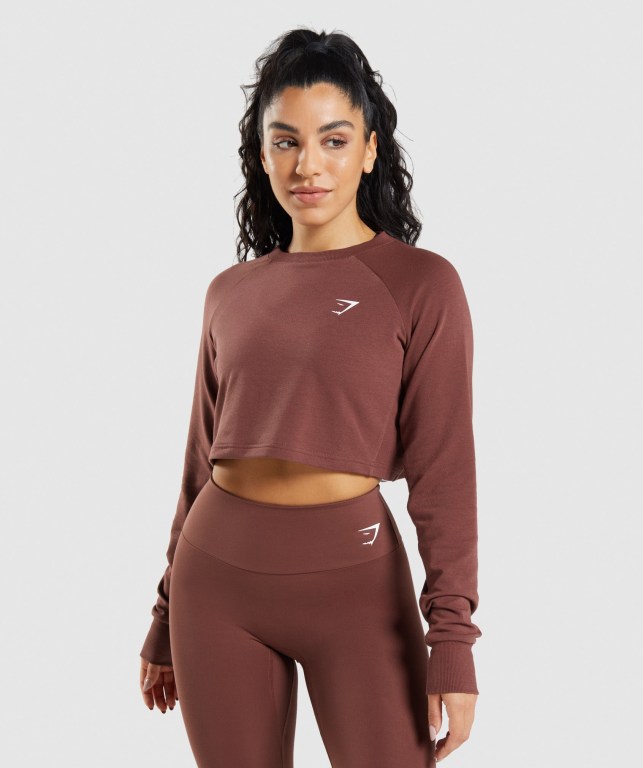 Gymshark Antrenman Cropped Kazak Kapüşonlu Sweatshirt Kadın Pembe Kahverengi | 183-PXRMFI