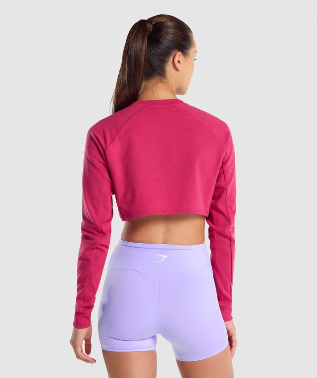 Gymshark Antrenman Cropped Kazak Kapüşonlu Sweatshirt Kadın Pembe | 253-ACHWDL