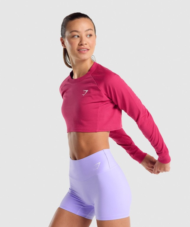 Gymshark Antrenman Cropped Kazak Kapüşonlu Sweatshirt Kadın Pembe | 253-ACHWDL