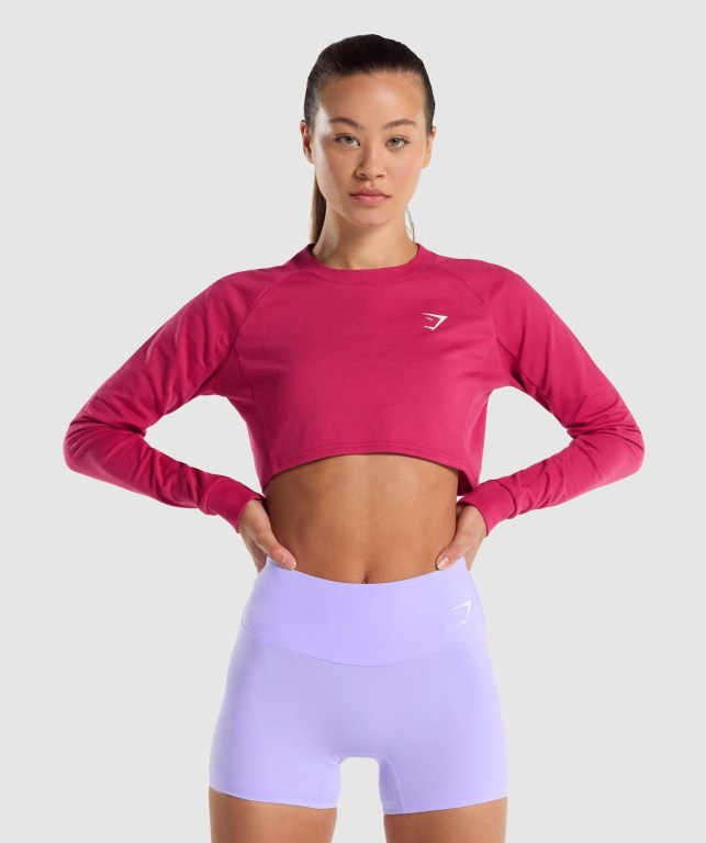 Gymshark Antrenman Cropped Kazak Kapüşonlu Sweatshirt Kadın Pembe | 253-ACHWDL