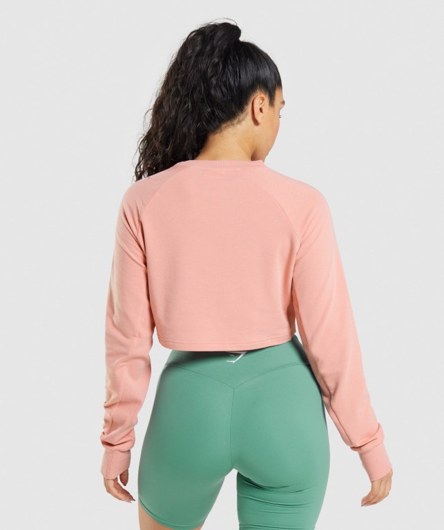 Gymshark Antrenman Cropped Kazak Kapüşonlu Sweatshirt Kadın Pembe | 652-OASETH