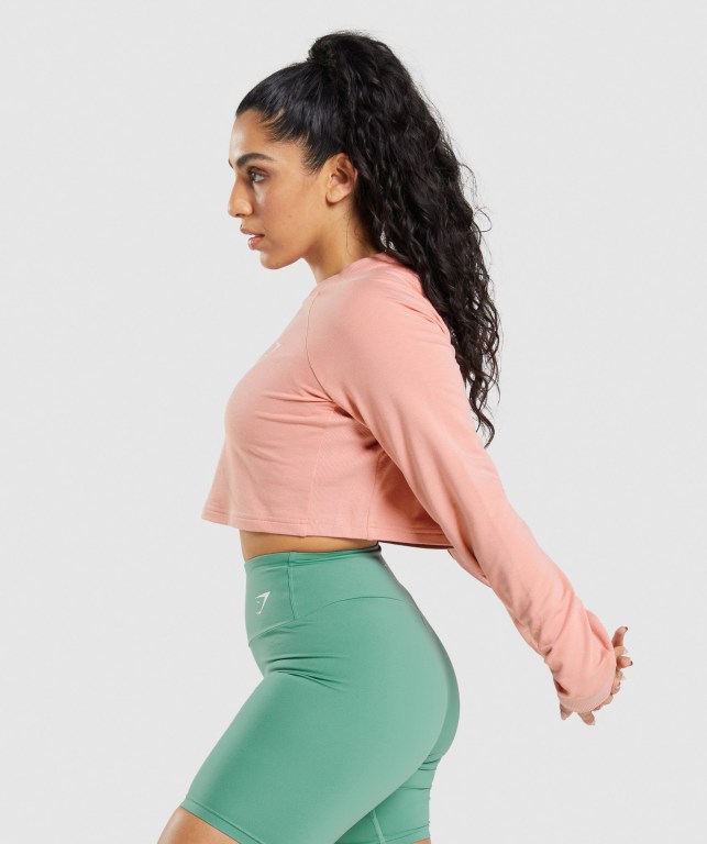 Gymshark Antrenman Cropped Kazak Kapüşonlu Sweatshirt Kadın Pembe | 652-OASETH