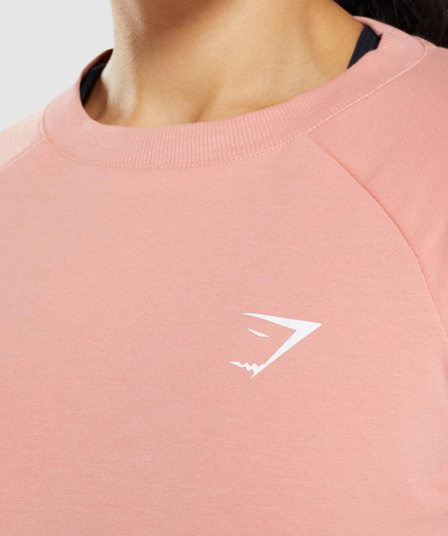 Gymshark Antrenman Cropped Kazak Kapüşonlu Sweatshirt Kadın Pembe | 652-OASETH