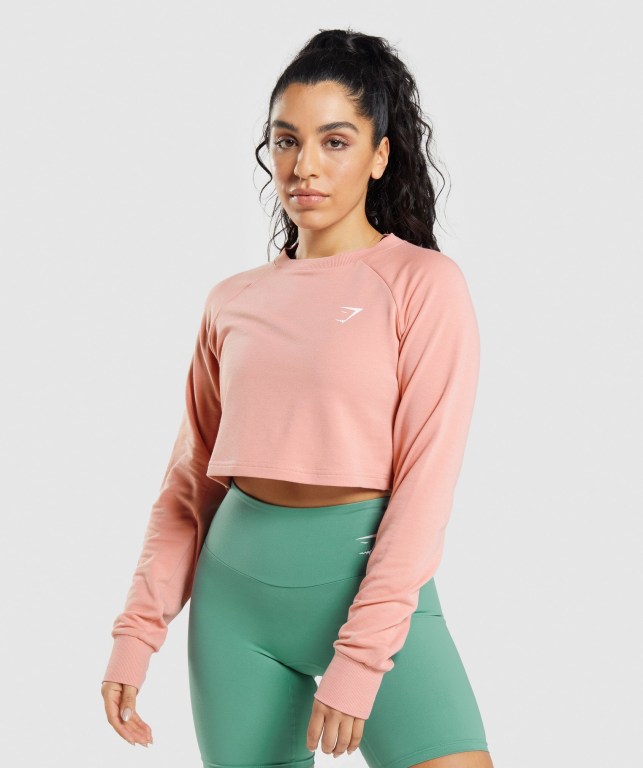 Gymshark Antrenman Cropped Kazak Kapüşonlu Sweatshirt Kadın Pembe | 652-OASETH