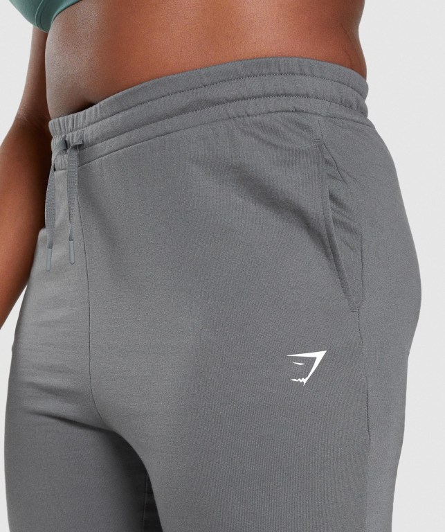 Gymshark Antrenman Jogger Pantolon Kadın Gri | 407-OUKIEX