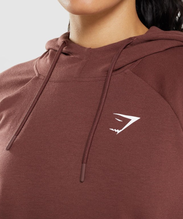 Gymshark Antrenman Kapüşonlu Sweatshirt Kadın Pembe Kahverengi | 103-MPOVKC