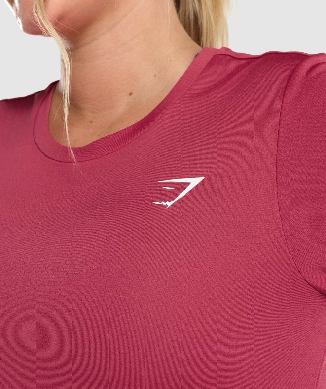 Gymshark Antrenman Tişört Kadın Pembe | 325-CWHXZF