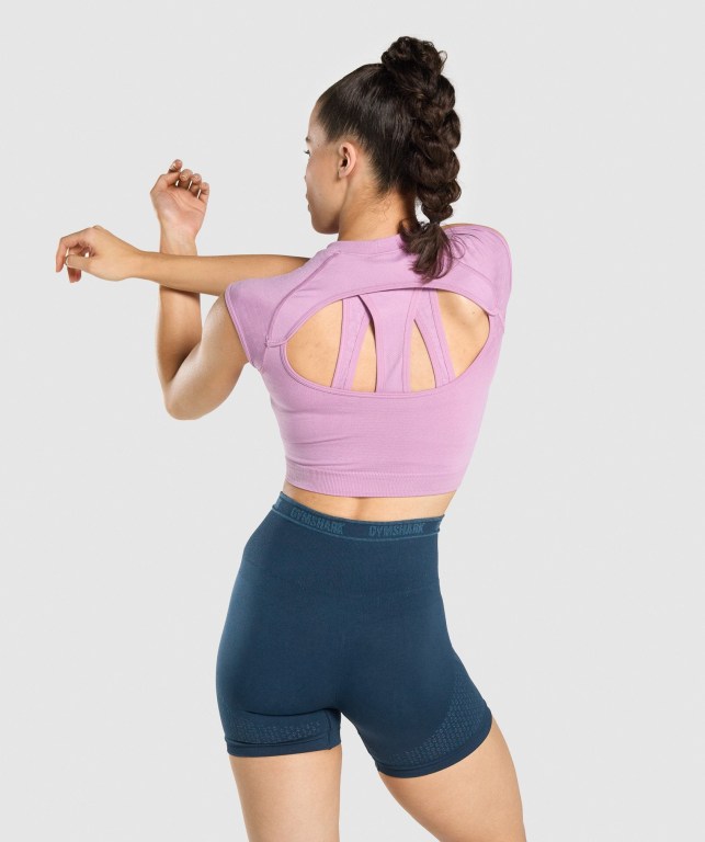 Gymshark Apex Seamless Crop Top Tişört Kadın Mor Açık Mor | 427-UAEYZL