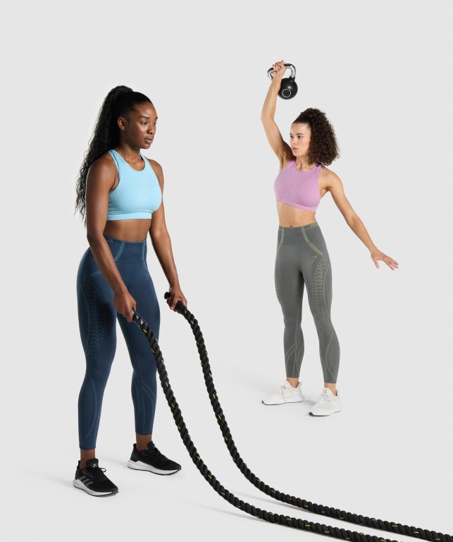 Gymshark Apex Seamless High Waisted Tayt Kadın Lacivert Açık Mavi | 984-TACBLF