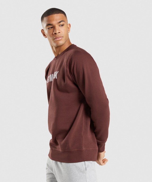 Gymshark Apollo Crew Kapüşonlu Sweatshirt Erkek Pembe Kahverengi | 367-PXMVON