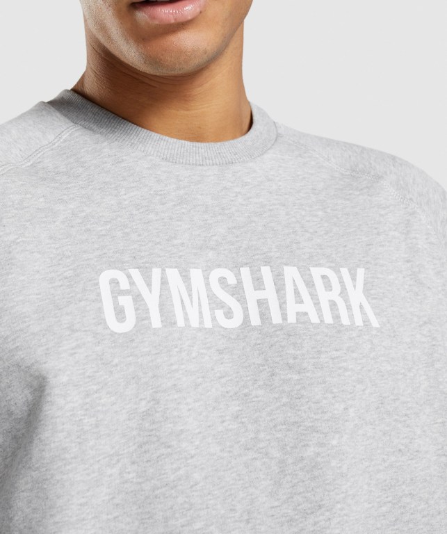 Gymshark Apollo Crew Kapüşonlu Sweatshirt Erkek Açık Gri | 978-NHAYWD