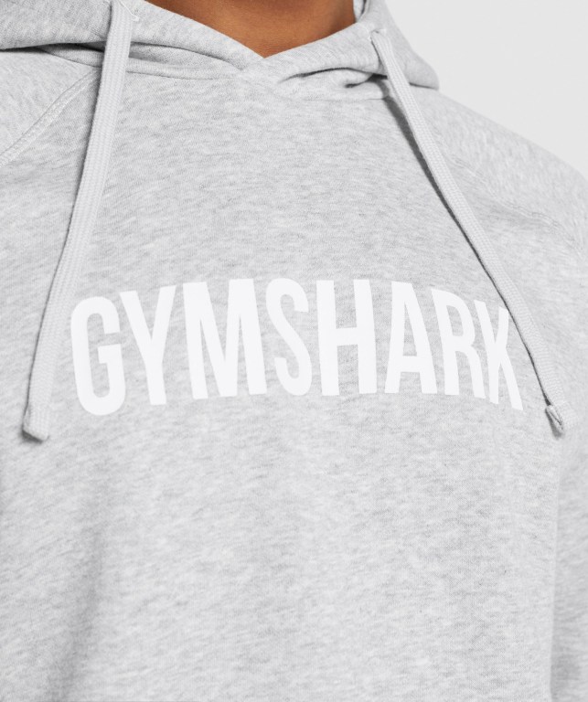 Gymshark Apollo Kapüşonlu Sweatshirt Erkek Açık Gri | 590-ZJGTEQ