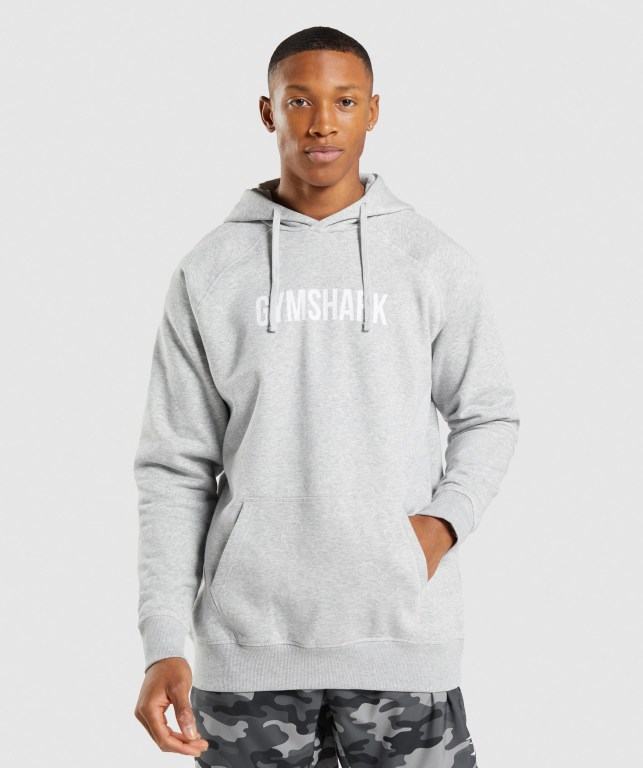 Gymshark Apollo Kapüşonlu Sweatshirt Erkek Açık Gri | 590-ZJGTEQ