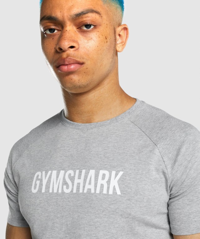 Gymshark Apollo Tişört Erkek Açık Gri | 240-HXESOZ