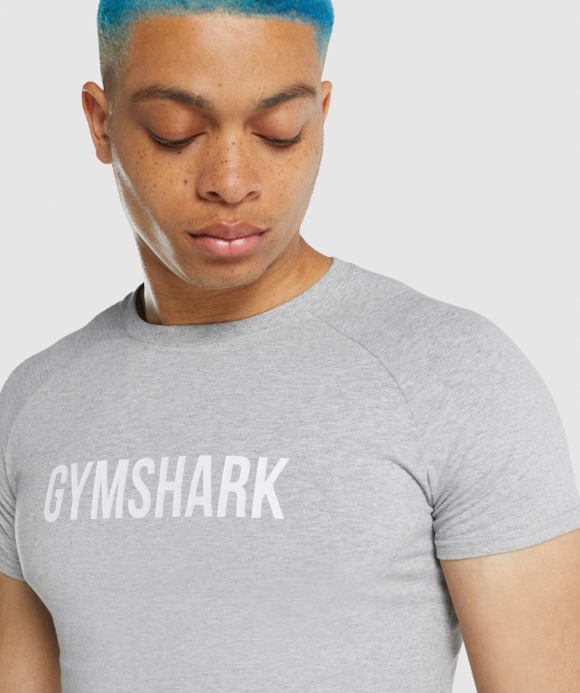 Gymshark Apollo Tişört Erkek Açık Gri | 319-CXJEAF