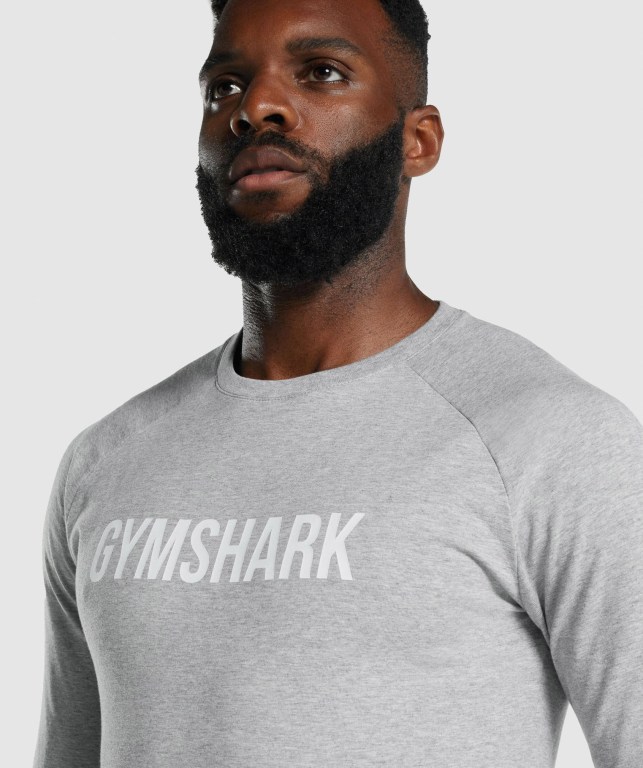 Gymshark Apollo Tişört Erkek Açık Gri | 719-DSLEZO