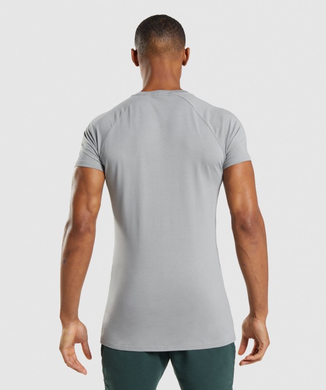 Gymshark Apollo Tişört Erkek Gri | 394-SLXRWE