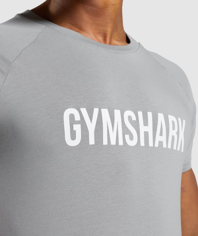 Gymshark Apollo Tişört Erkek Gri | 394-SLXRWE