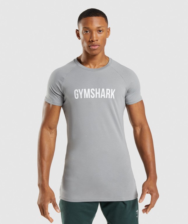 Gymshark Apollo Tişört Erkek Gri | 394-SLXRWE