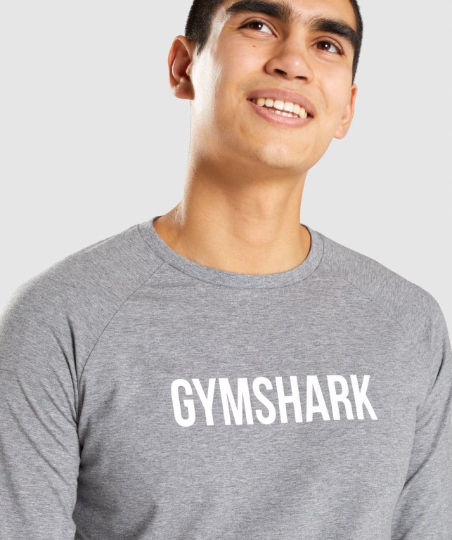 Gymshark Apollo Tişört Erkek Gri | 462-OJYKIF