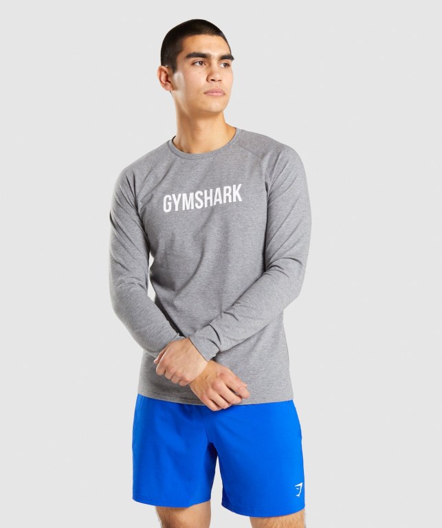 Gymshark Apollo Tişört Erkek Gri | 462-OJYKIF