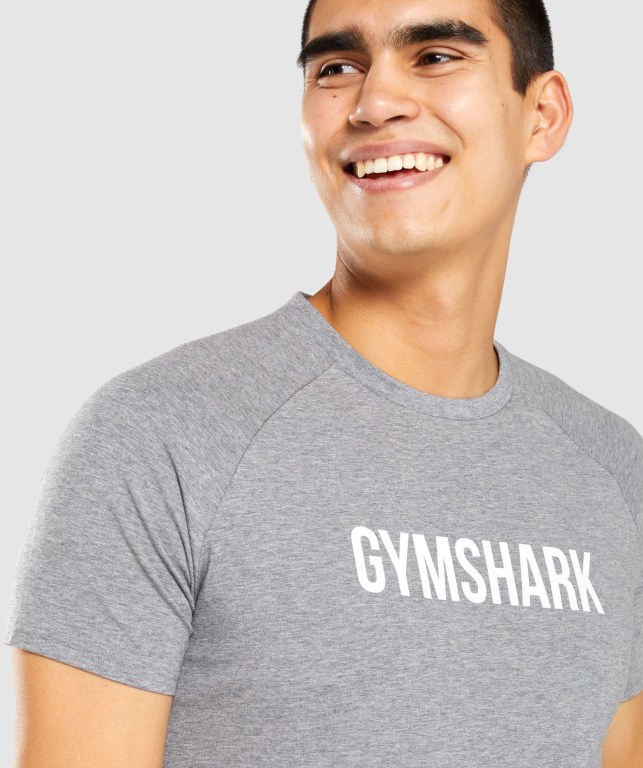 Gymshark Apollo Tişört Erkek Gri | 678-HNAKGR