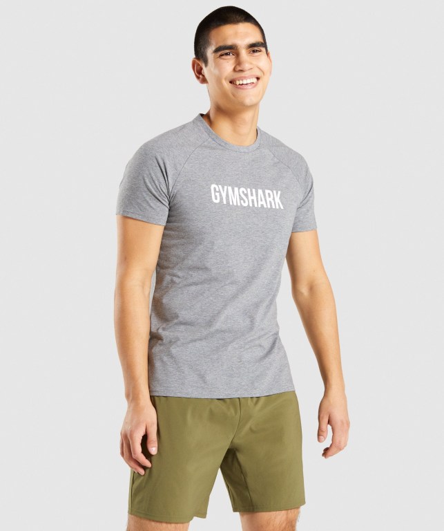 Gymshark Apollo Tişört Erkek Gri | 678-HNAKGR