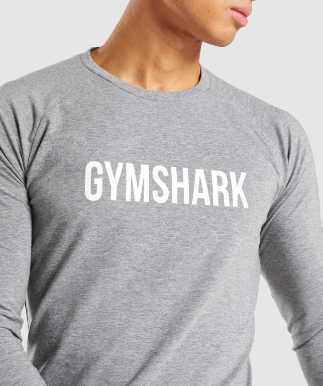 Gymshark Apollo Tişört Erkek Gri | 962-WXKCBF