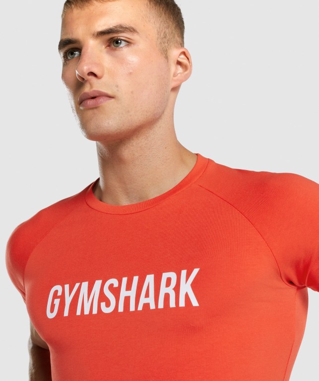 Gymshark Apollo Tişört Erkek Turuncu | 356-BEJMNZ