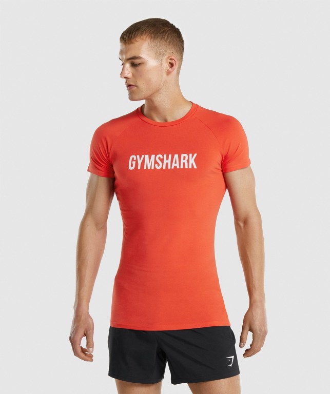 Gymshark Apollo Tişört Erkek Turuncu | 356-BEJMNZ