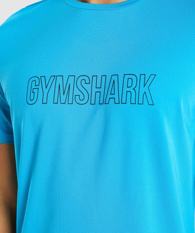 Gymshark Arrival Graphic Tişört Erkek Açık Mavi | 714-TXPCUY