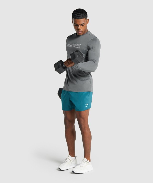 Gymshark Arrival Graphic Tişört Erkek Gri | 703-RXINAD