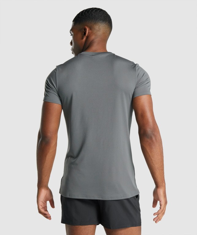 Gymshark Arrival Graphic Tişört Erkek Gri | 914-GBUVJZ