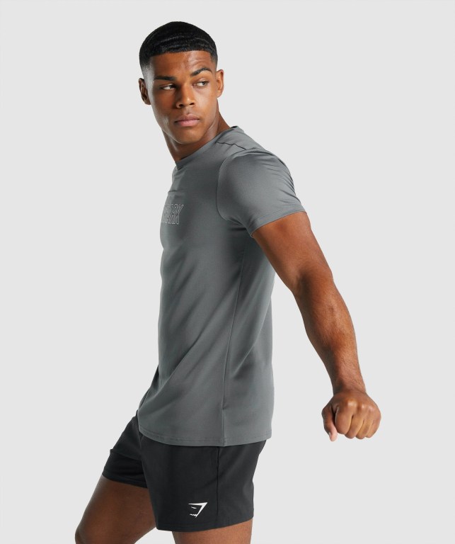 Gymshark Arrival Graphic Tişört Erkek Gri | 914-GBUVJZ