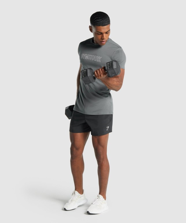 Gymshark Arrival Graphic Tişört Erkek Gri | 914-GBUVJZ