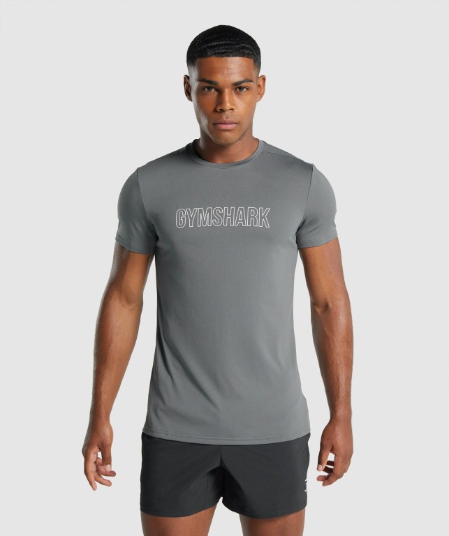 Gymshark Arrival Graphic Tişört Erkek Gri | 914-GBUVJZ