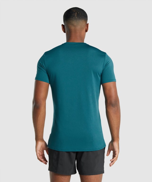 Gymshark Arrival Graphic Tişört Erkek Turkuaz | 475-ZEFGKQ