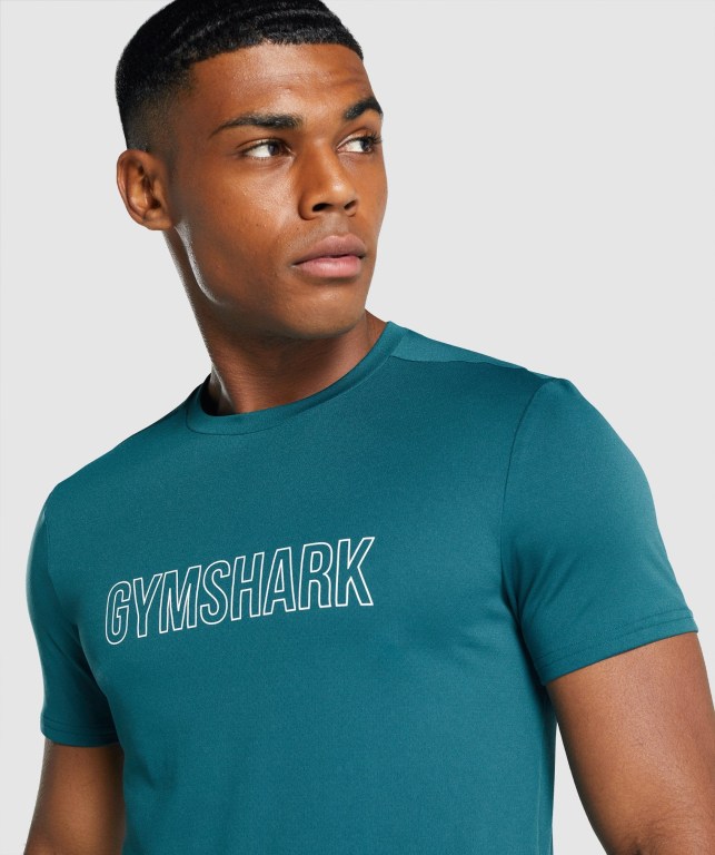 Gymshark Arrival Graphic Tişört Erkek Turkuaz | 475-ZEFGKQ