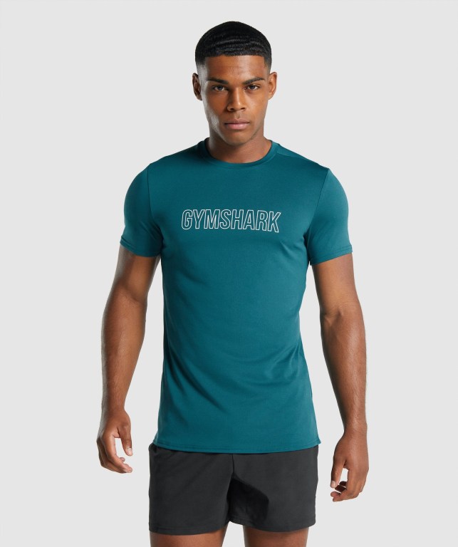 Gymshark Arrival Graphic Tişört Erkek Turkuaz | 475-ZEFGKQ